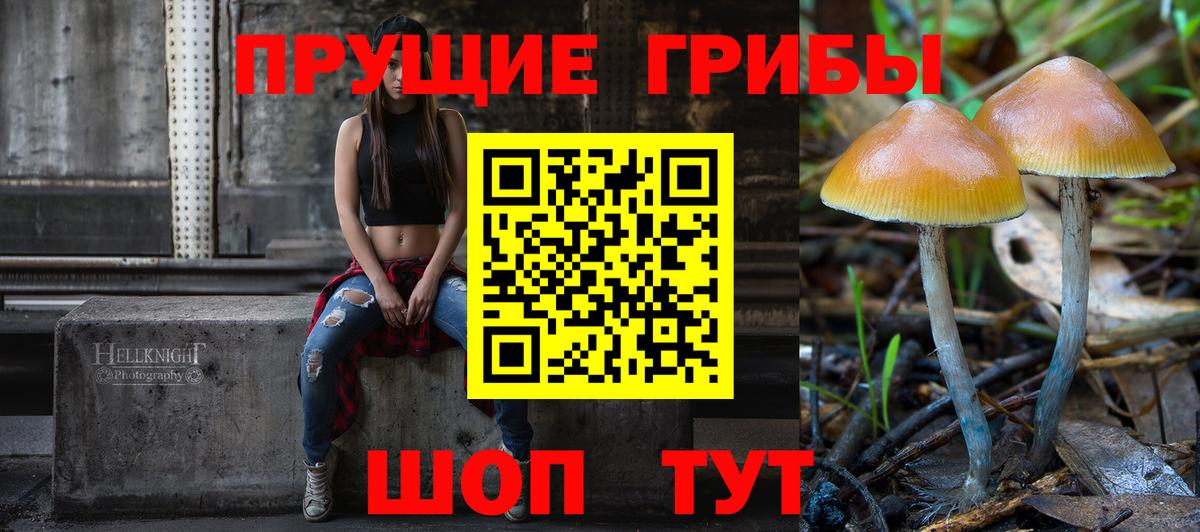 Псилоцибиновые грибы Cubensis  Вход с VPN  Дмитров 